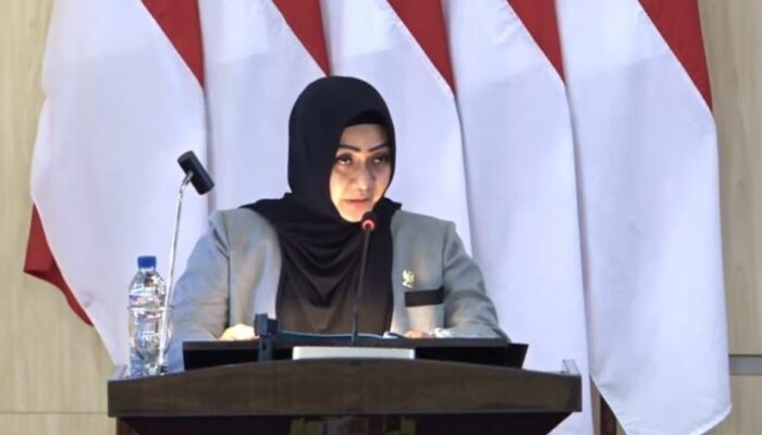 Hanura-PKB Setujui Ranperda APBD 2025, Soroti Serapan Anggaran, SILPA, dan Penanganan Banjir  Medan, detik86news