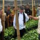 Tiga Menteri Hadir di Tanah Gayo dalam Sepekan, Beri Solusi Nyata Pemulihan Pascabencana