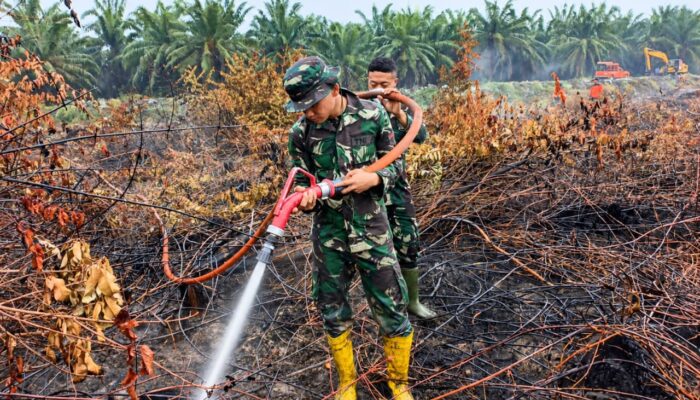 Kodam XIX/TT Intensifkan Pendinginan Karhutla 75 Hektare di Inhu