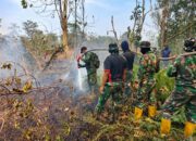 Kodam XIX/Tuanku Tambusai Perkuat Penanganan Karhutla, 3,05 Hektare Lahan Dipadamkan
