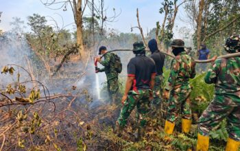 Kodam XIX/Tuanku Tambusai Perkuat Penanganan Karhutla, 3,05 Hektare Lahan Dipadamkan