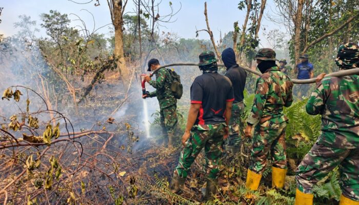 Kodam XIX/Tuanku Tambusai Perkuat Penanganan Karhutla, 3,05 Hektare Lahan Dipadamkan