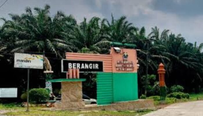 Penghentian Kasus Pencurian TBS di PTPN IV Kebun Berangir Tuai Sorotan Hukum