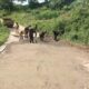 Pemkab Karo Gerak Cepat, Dinas PUTR Turun Tangan Perbaiki Jalan Menuju Liang Melas Datas